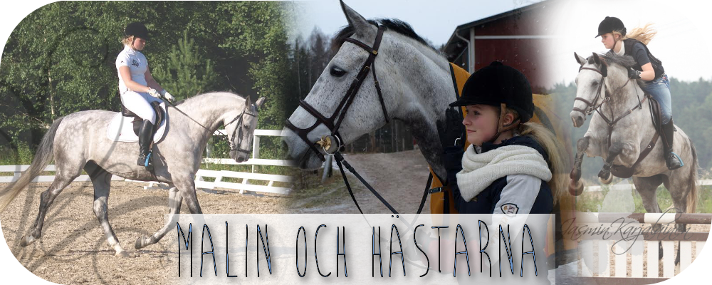 Malin och hästarna