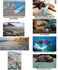 Animais comendo lixo do mar