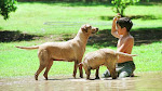 Educacion Cálida