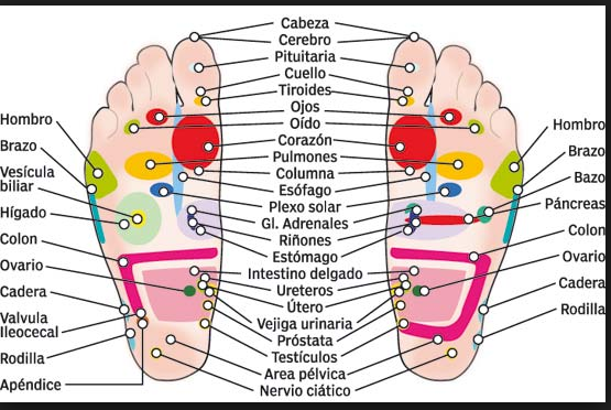 Pie Masajes Para La Columna Cervical Espalda Reflexologia