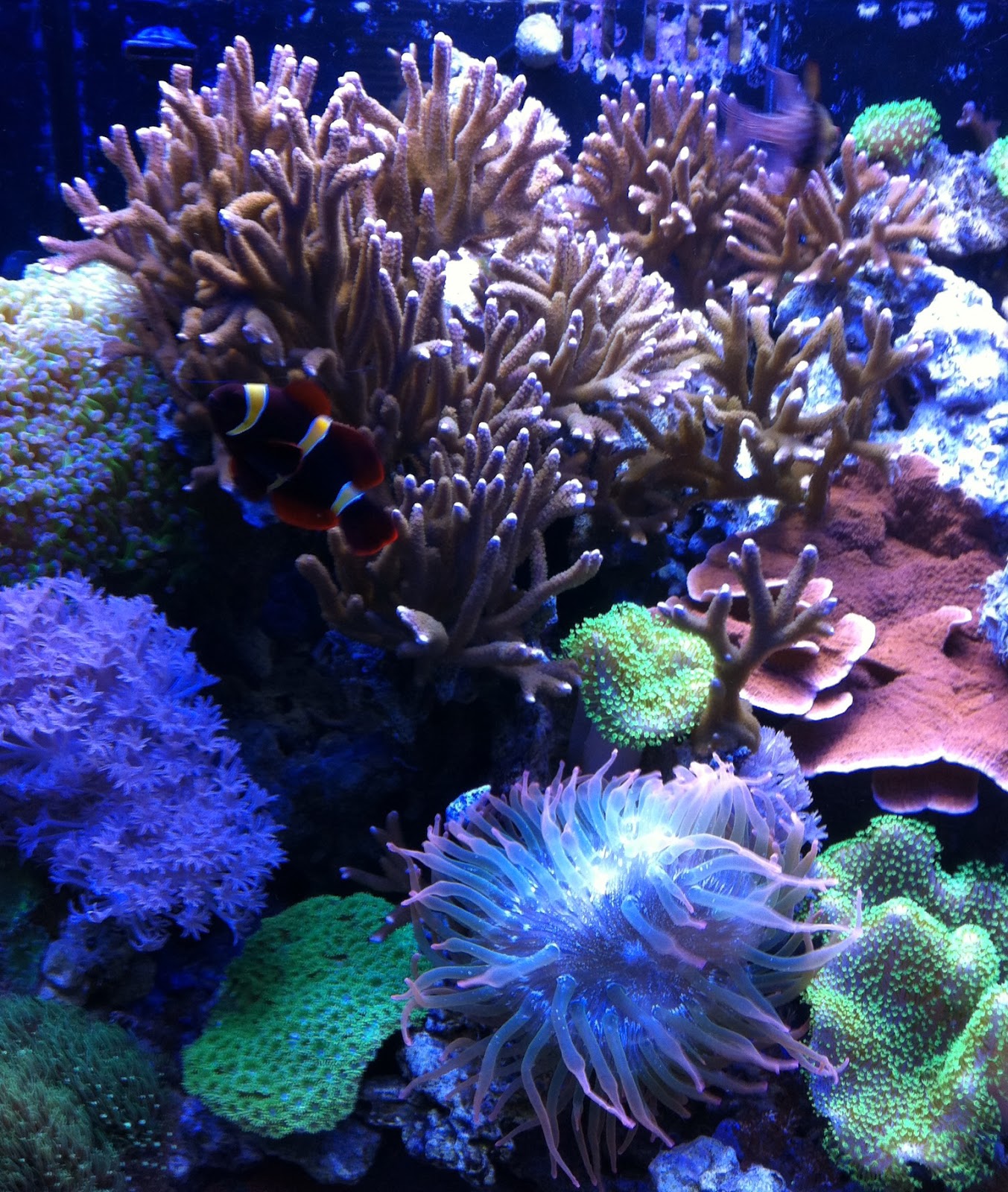 marine depot blog our