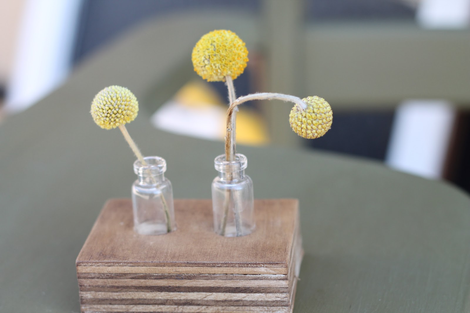 Walrus Reclaimed Wood Bud Vase Holder