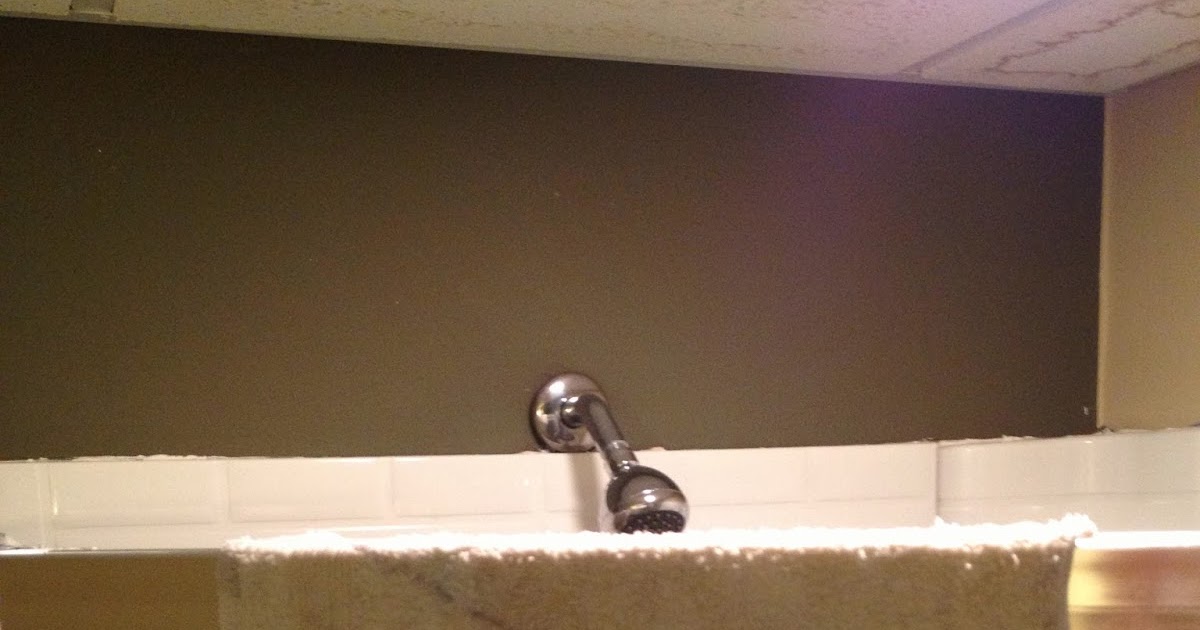 The DIY Guinea Pig ReUsable Dryer Sheet