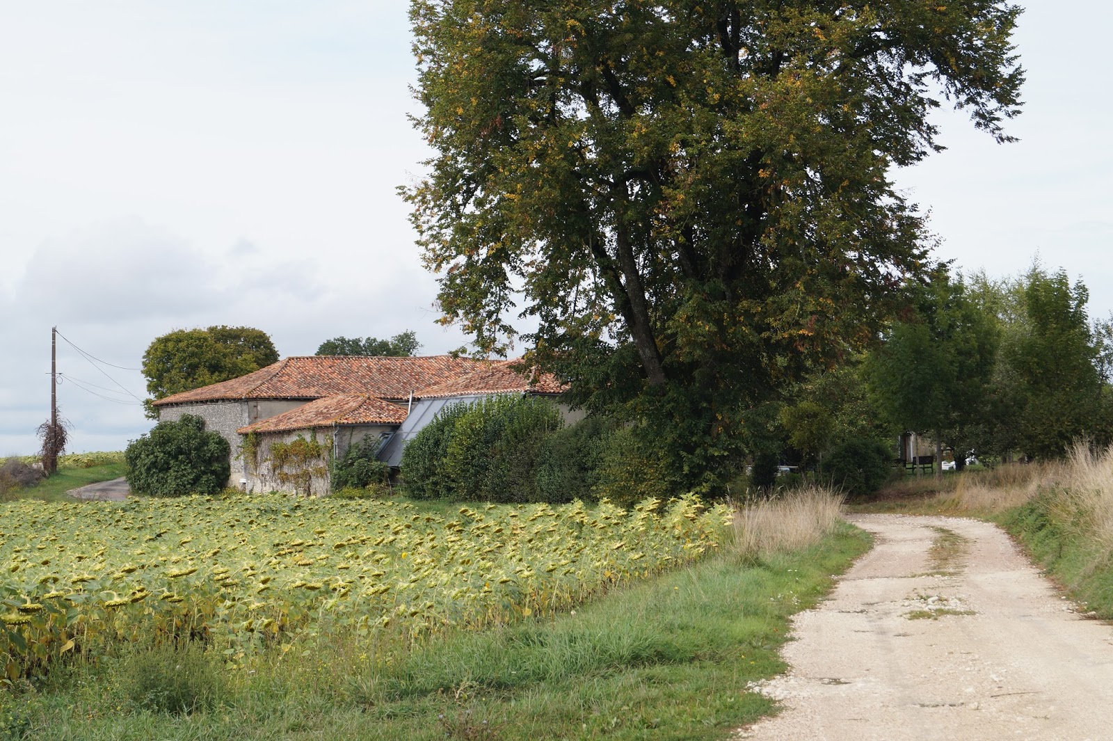 badoo rencontre nontron