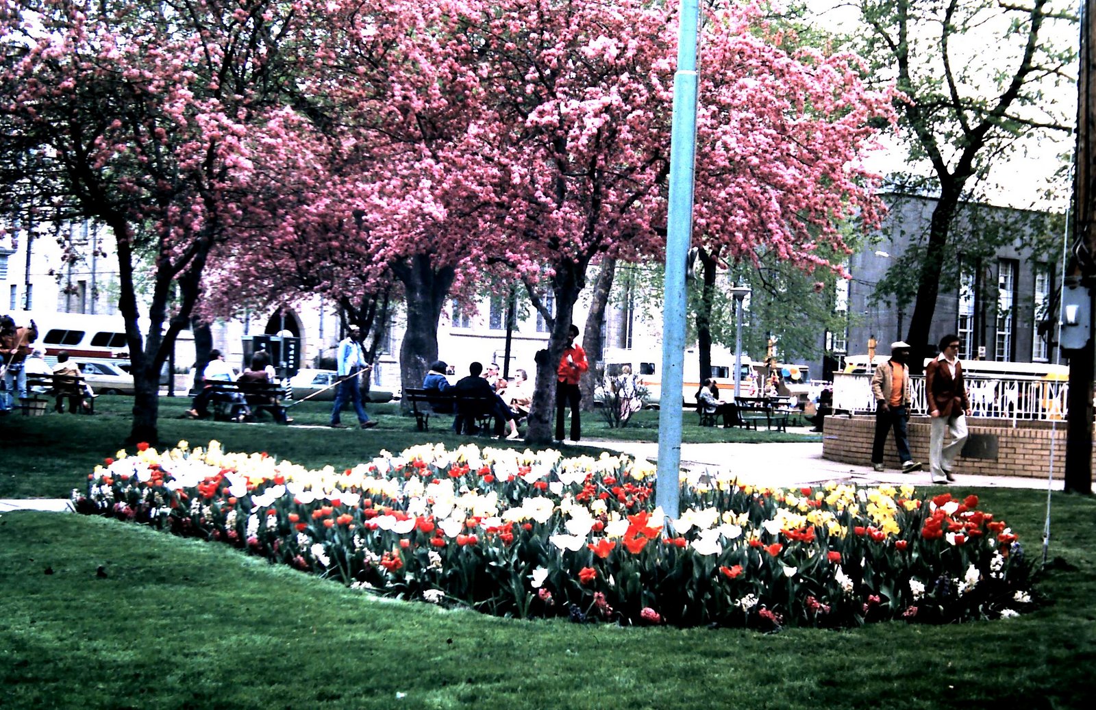 Vintage Johnstown Central Park 1970's