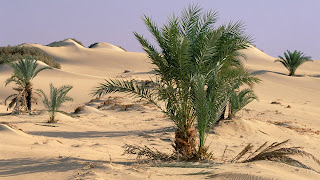 desert widescreen image