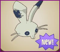 and it is on Animal Jam,