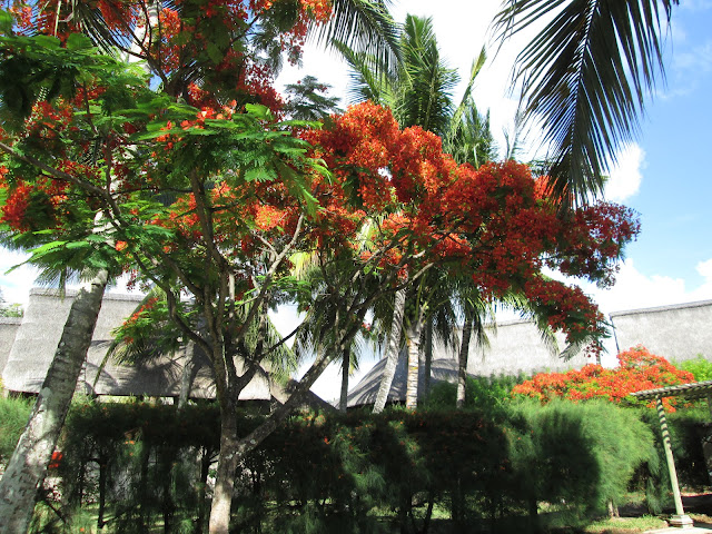 blog.oanasinga.com-going-halfway-across-the-globe-from-san-francisco-on-the-mauritius-island-11