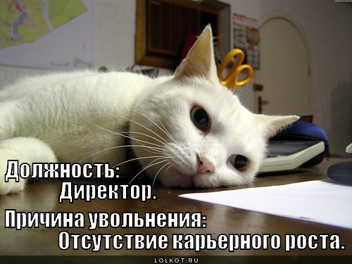 Открытка не увольняйся Открытка не увольняйся