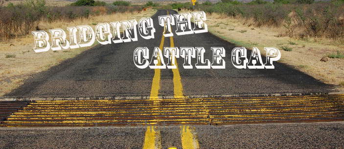 Bridging the Cattle Gap