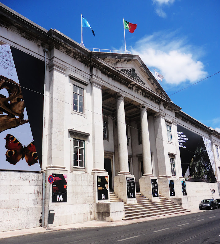 Imaginação em Marcha OS MUSEUS DA UNIVERSIDADE DE LISBOA  EX