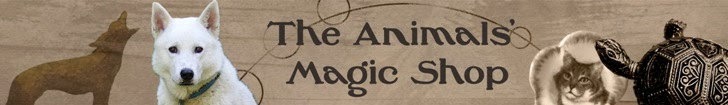 The Animals Magic Shop Blog