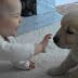 Πώς αντιδρά ένα μωρό όταν βλέπει για πρώτη φορά ένα κουταβάκι; (βίντεο)