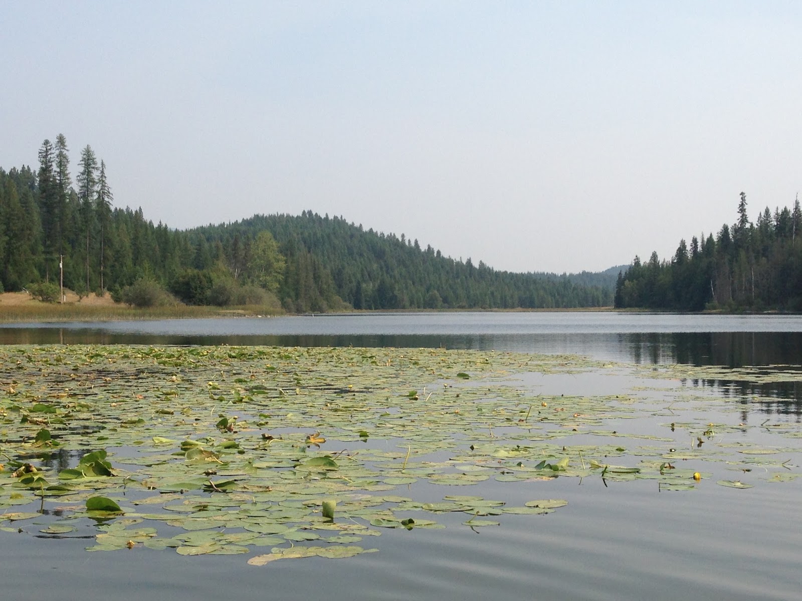 Beauty 4 Ashes Bonner Lake