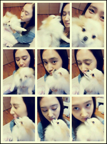 [PICS][09/12/2012] Yuri và con cún dễ thương của cô ấy ♥ Snsd+yuri+with+her+puppy
