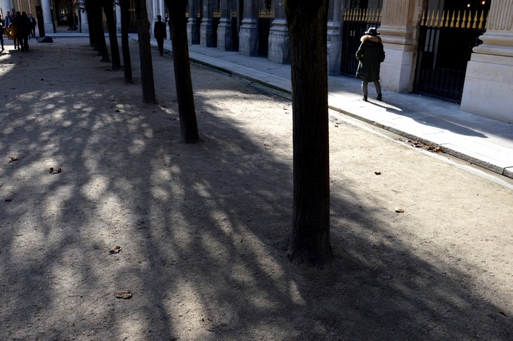 Jardin du Palais Royal