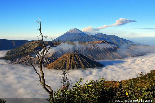 Gunung Bromo