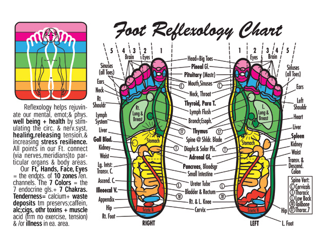 backpacktress orange county chinese chinese foot chart