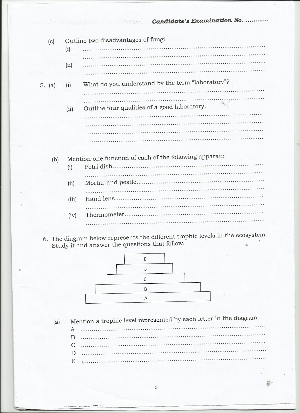 FORM TWO STUDY NOTES & PAST PAPERS BLOG BIOLOGYFORM TWO SECONDARY