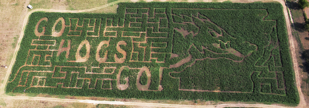 First Grade Maze