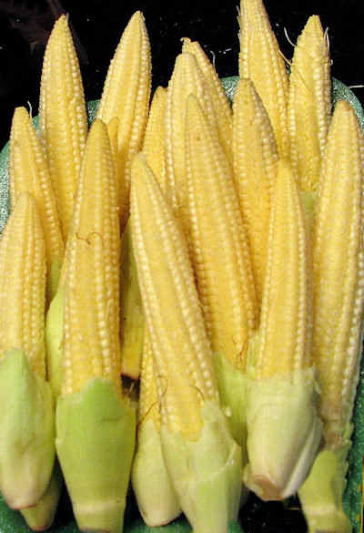 Baby Corn Pictures