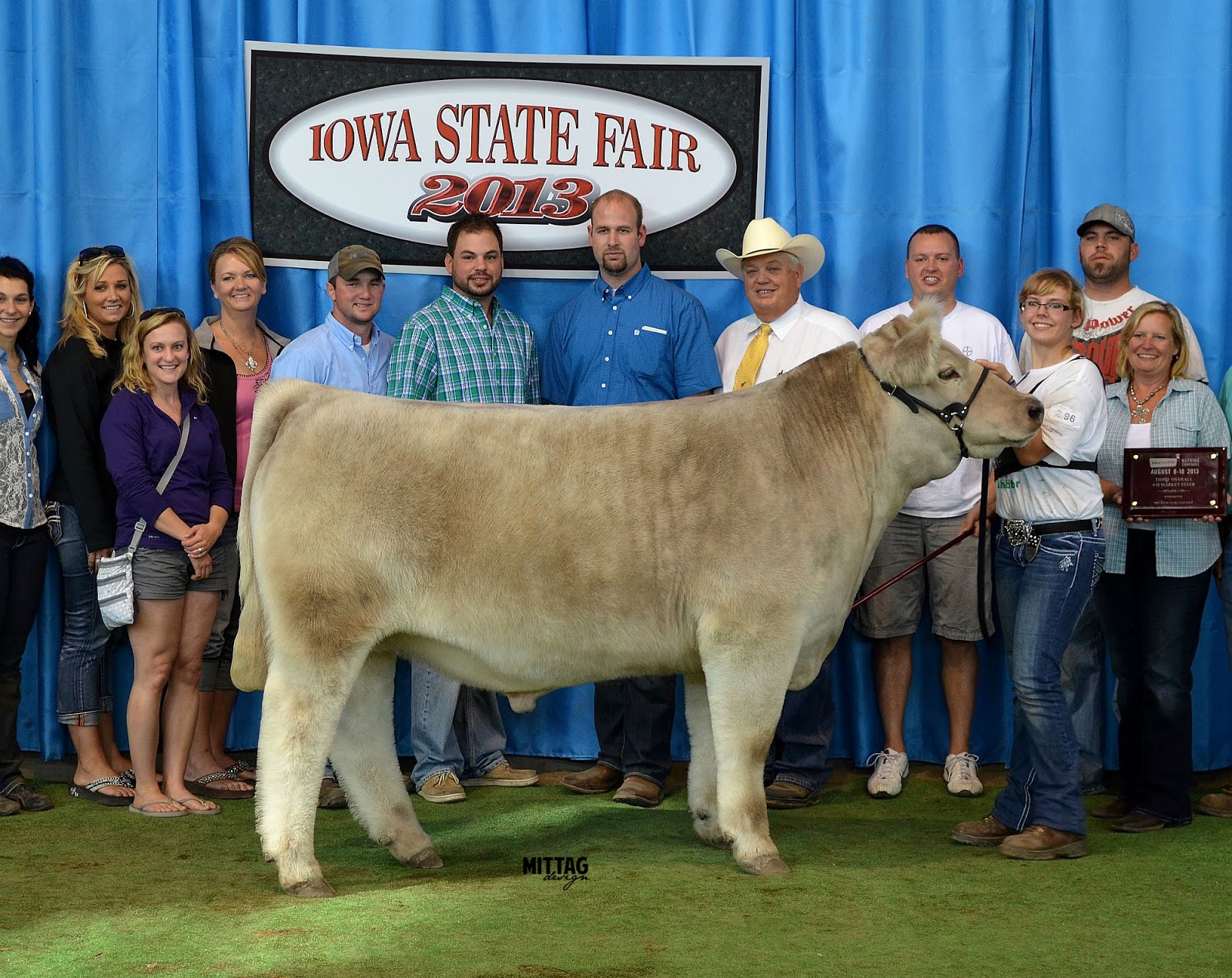 MITTAG Blog Iowa State Fair 4H Top 5 Steers