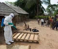 Virus Ebola, rischio contagio nelle grandi citta africane Images+(26)