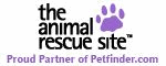 Click Here Daily and FREE Food Will be Given to Homeless Animals