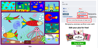 pizap com log in pizap com log in
