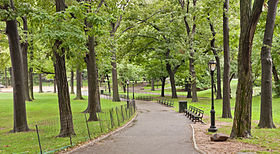 Central Park