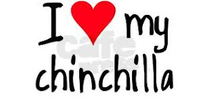 I love my chinxilla