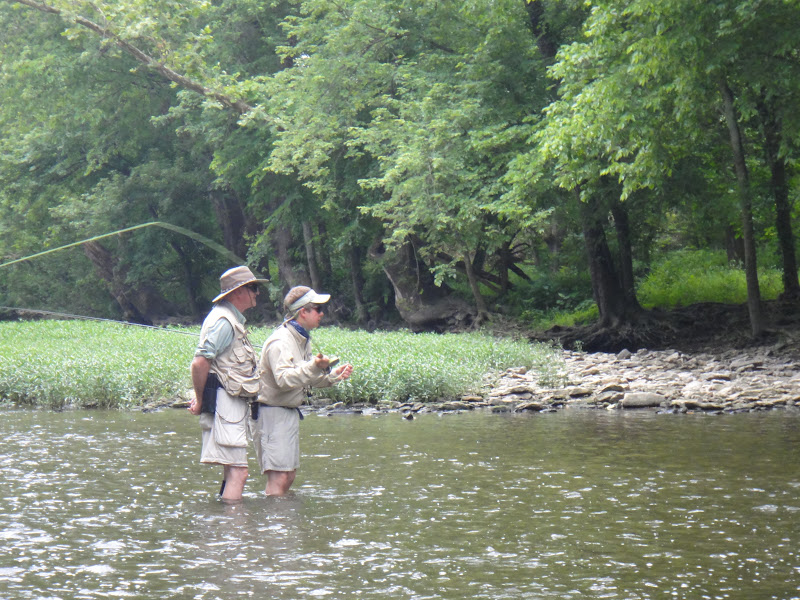 D&H fishing report Elkhorn Creek