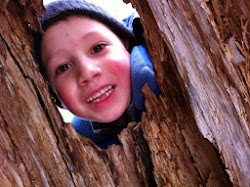 Cole's smile framed by a tree
