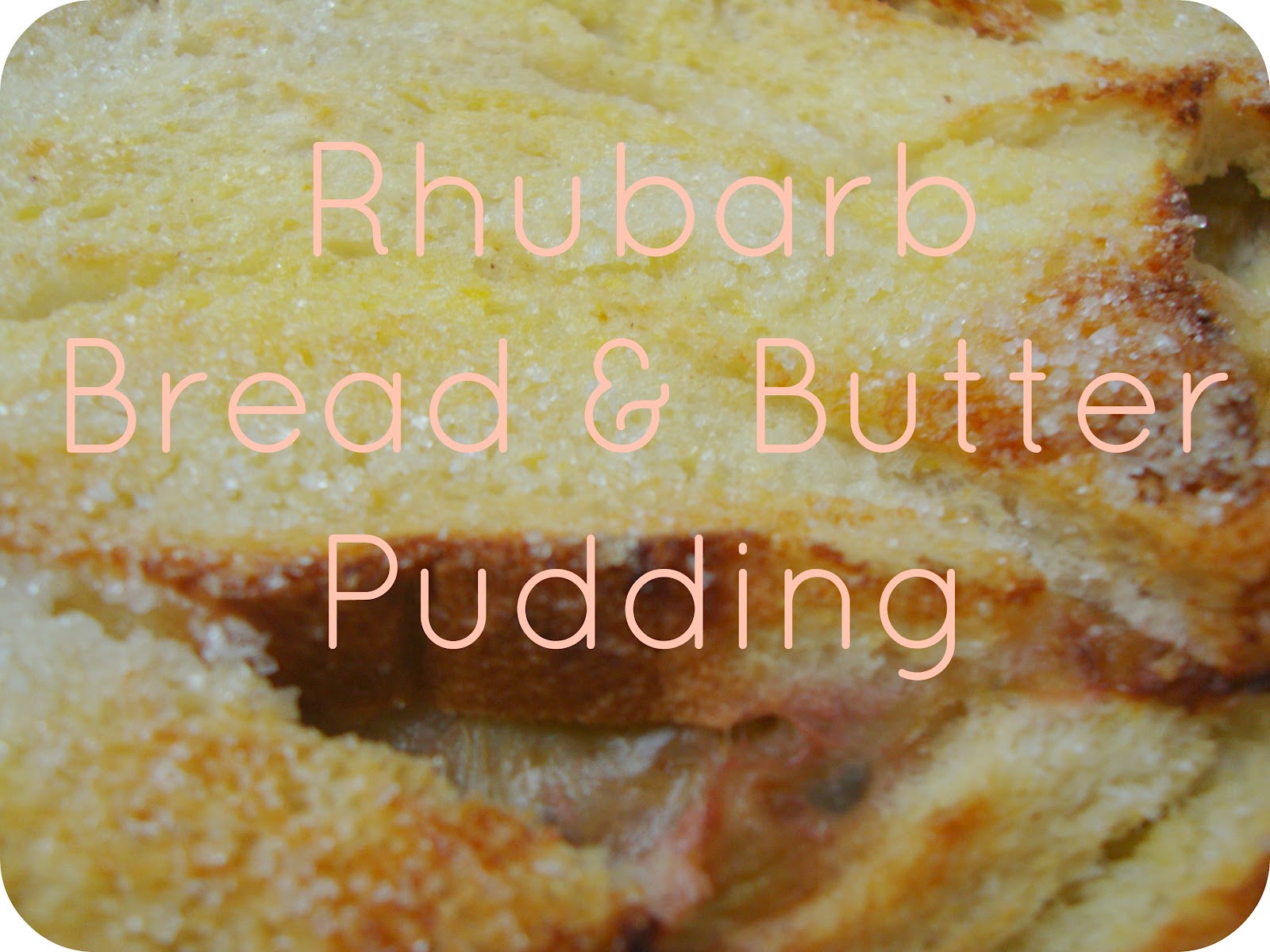 Miss Beatrix Rhubarb Bread and Butter Pudding
