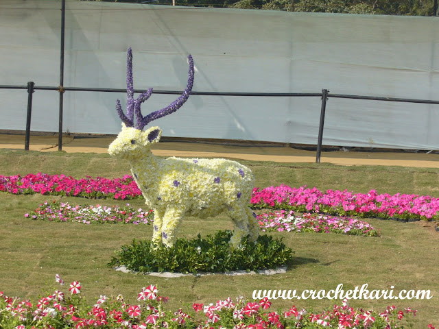 Ahmedabad flower show