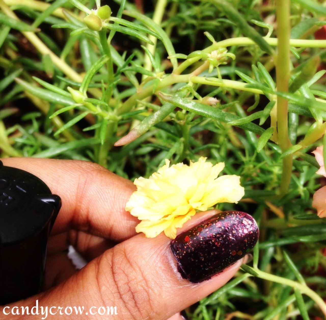 Kleancolor Chunky Holo Black review Chunky Holo Black review