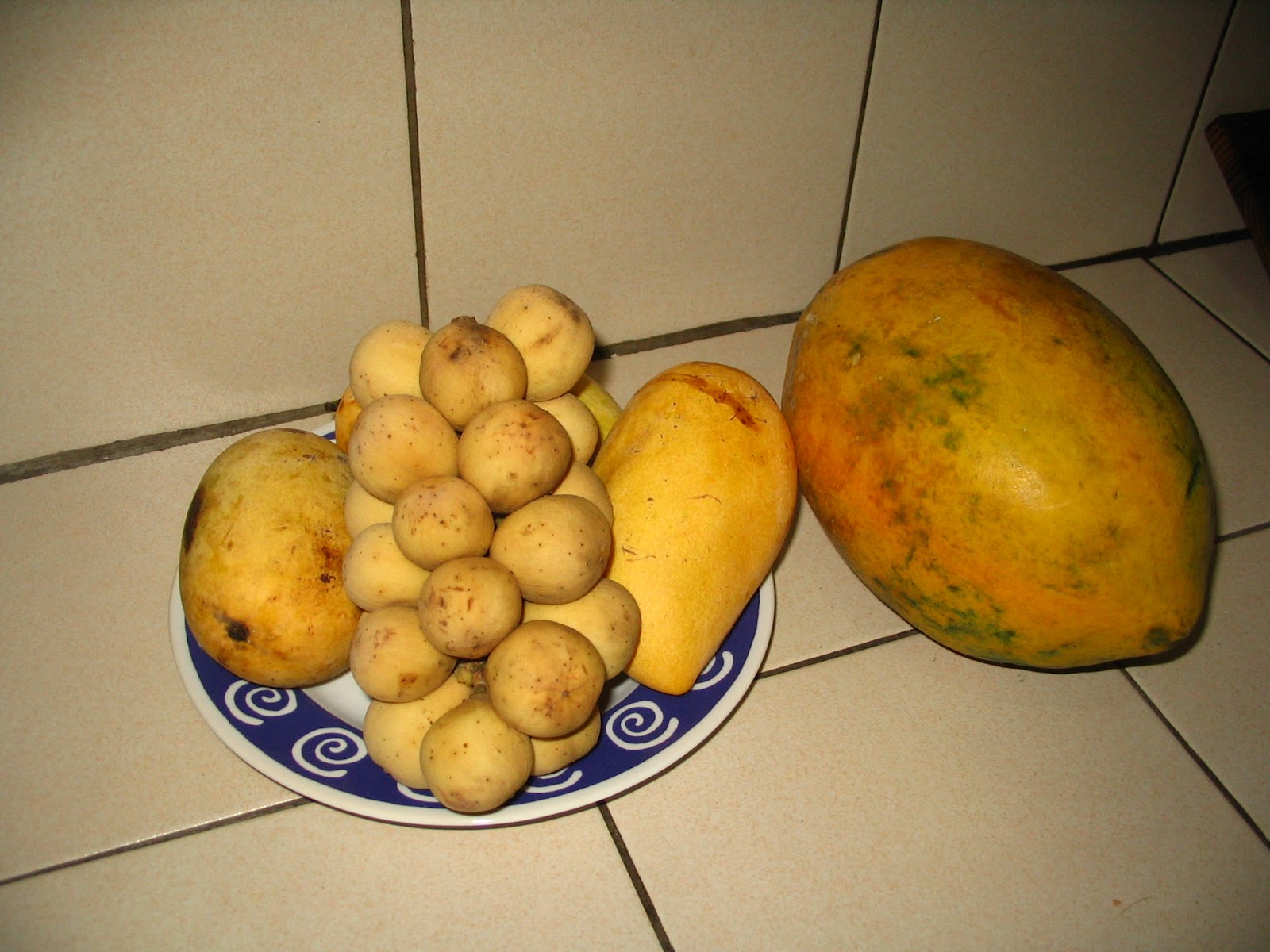 Food Diary Lychee, Chico, Papaya, Mangoes in the Philippines