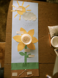 Growing A Kindergarten: Plant Parts