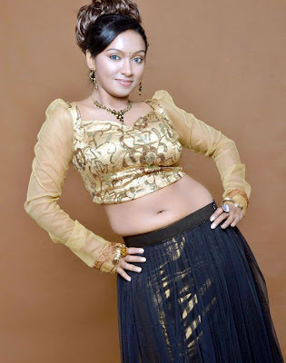 Actress Vaishali Hot N Spicy Photos and Stills