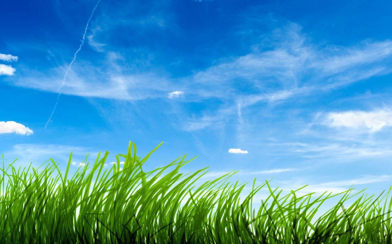 GAMBAR PEMANDANGAN PADANG RUMPUT WALLPAPER HD INDAH CERAH GAMBAR PEMANDANGAN PADANG RUMPUT WALLPAPER HD INDAH CERAH