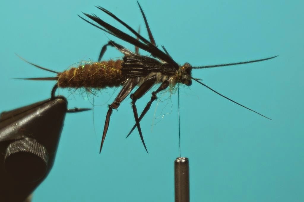 Fly Tying Nation Buggy Stonefly Nymph