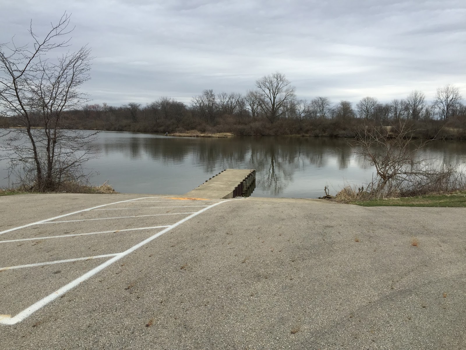 Kayaking Across Ohio Clark Lake Great Blue Herons Up Close