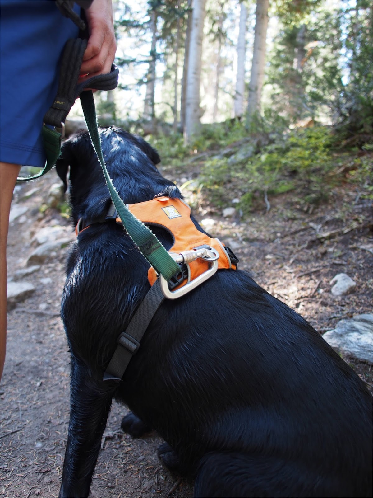 Review Ruffwear Front Range Harness robonza