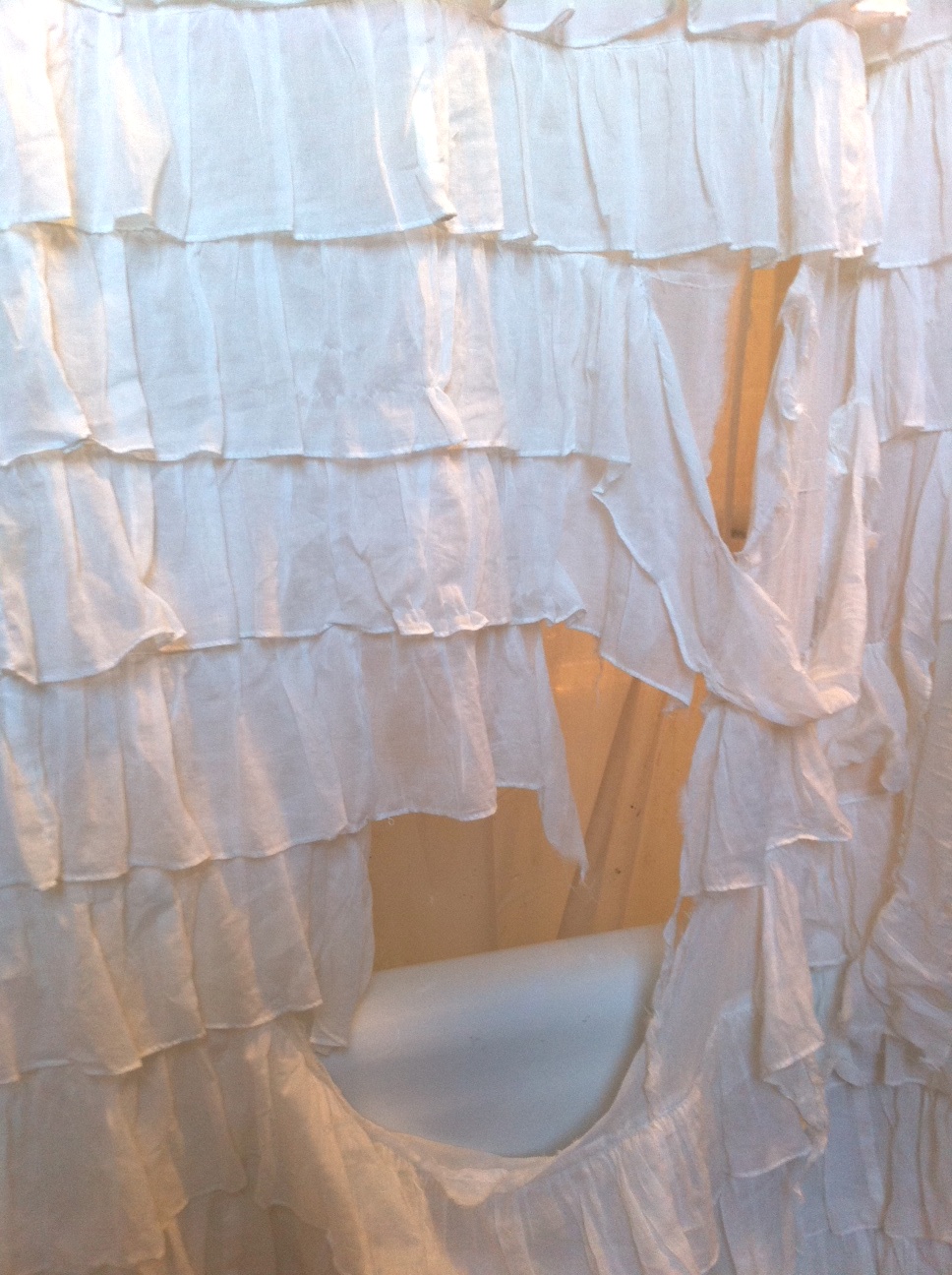 dwell and tell Shower curtain 2... Someone's in the dog house