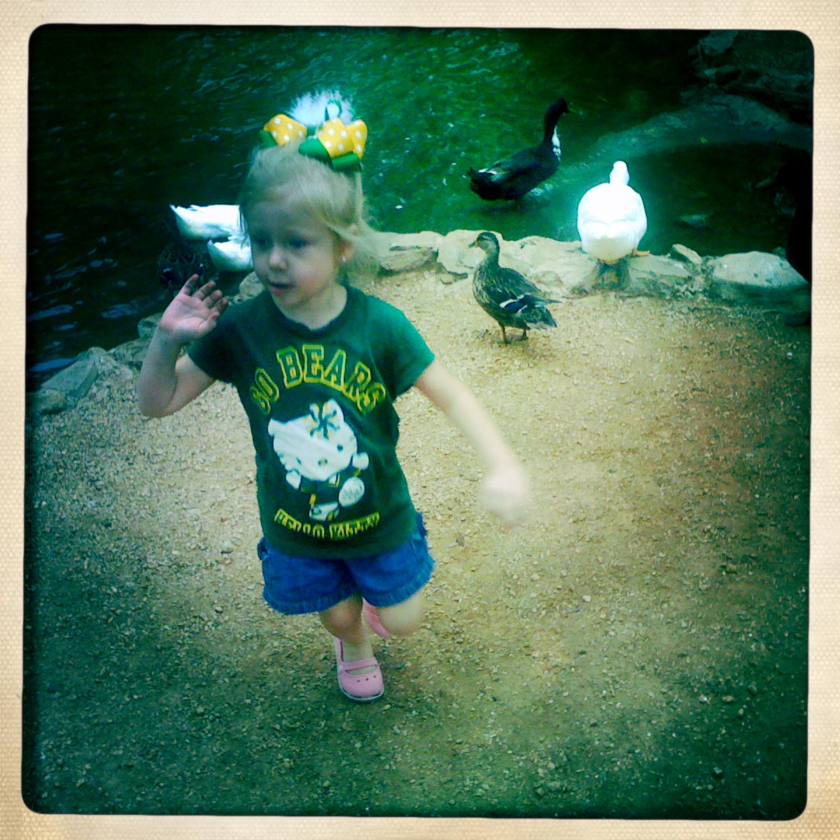 The Duck Pond in Huntsville, Texas