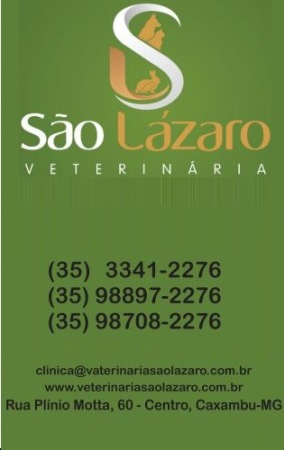 Clinica Veterinária São Lázaro