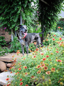 My Garden Helper