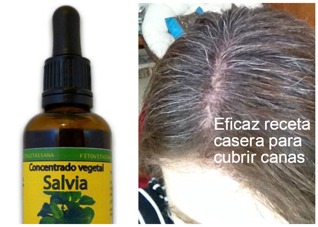 Eficaz Receta casera muy fácil para cubrir las canas ~ Manoslindas.com
