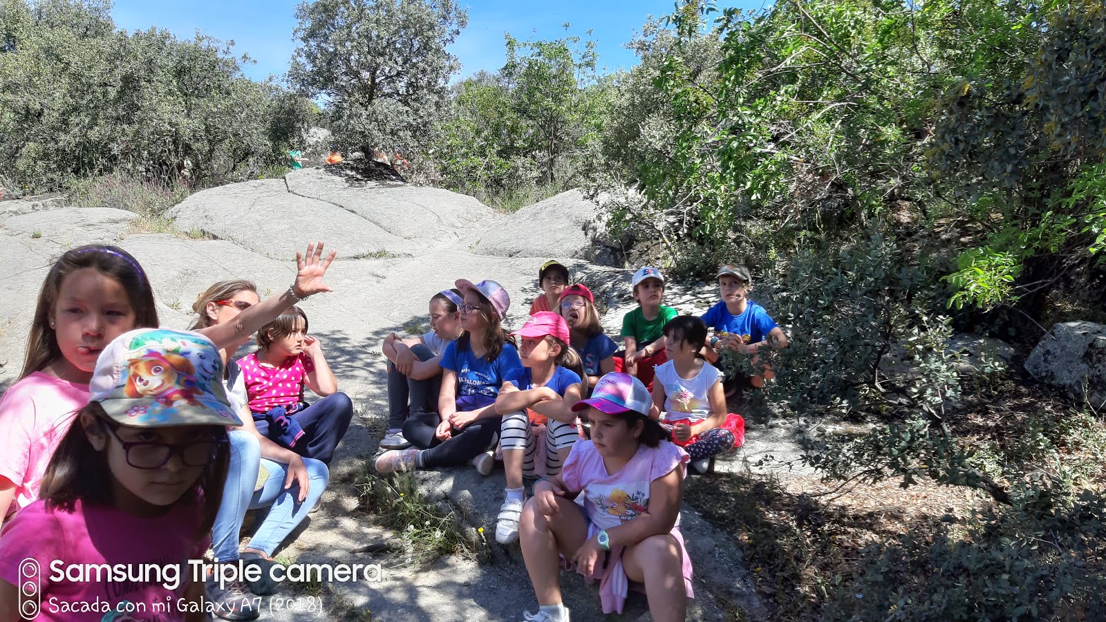 Estamos en la Granja