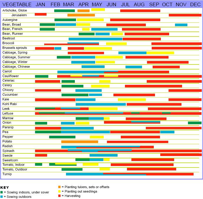 First Seeds of 2012 Sown SeanD